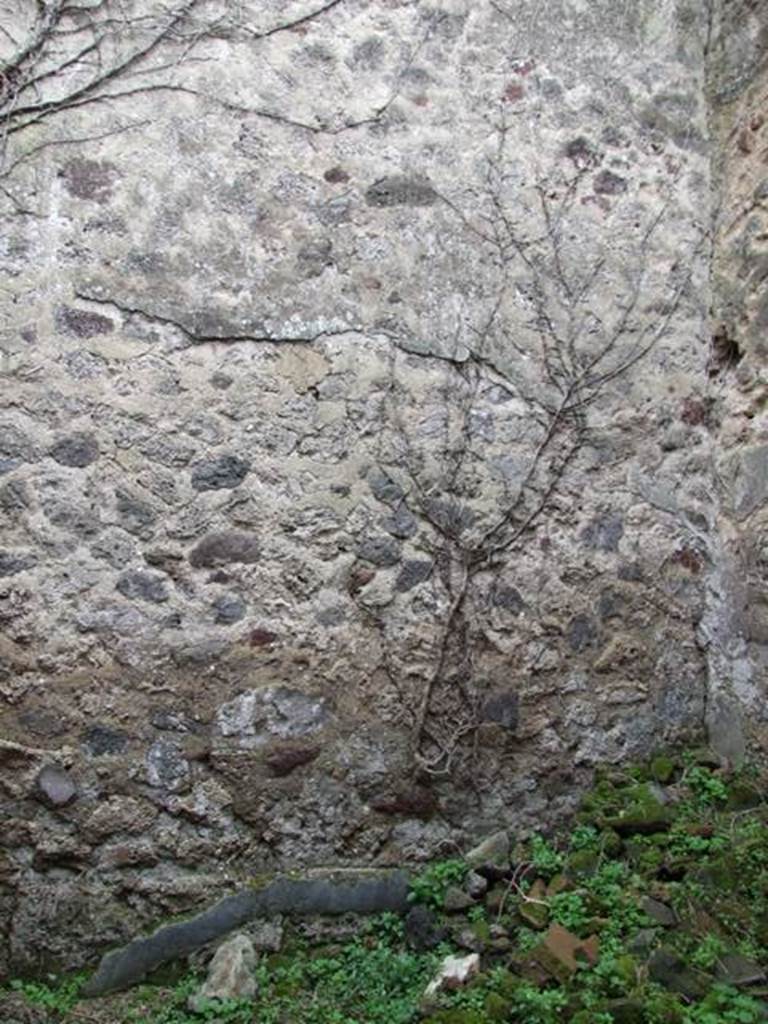 VII.3.4 Pompeii. March 2009.  South wall of storeroom.