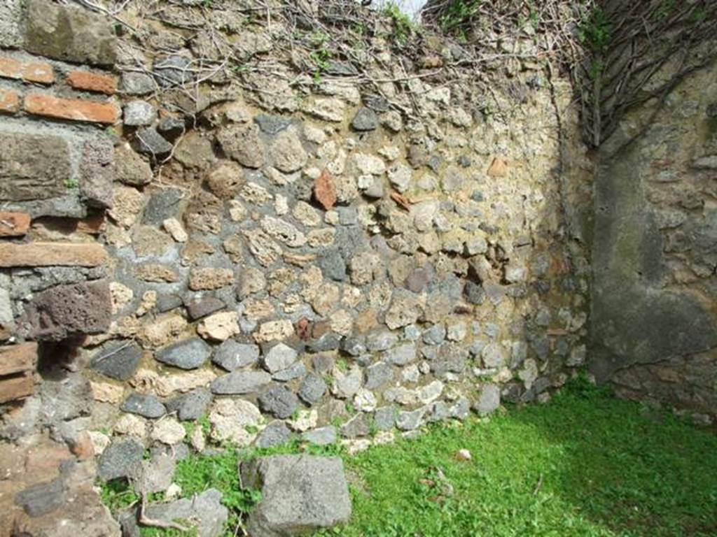 VII.3.4 Pompeii. March 2009. Room at rear of shop.  East wall.