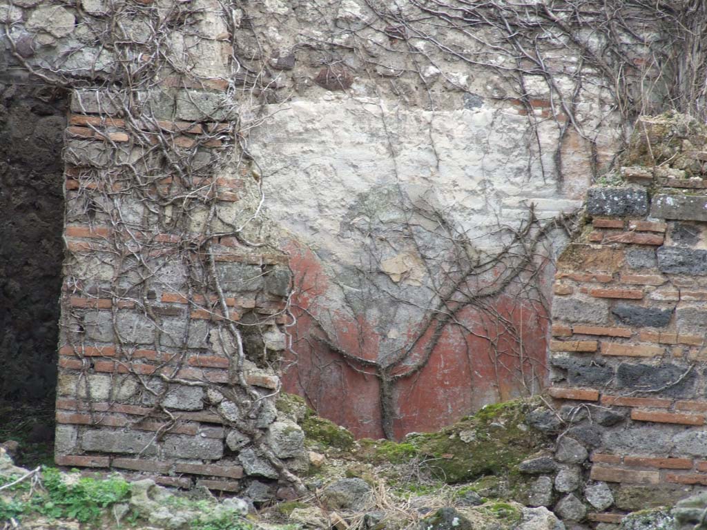 VII.3.8 Pompeii. December 2007. Cubiculum “d” with red painted plaster on south wall.