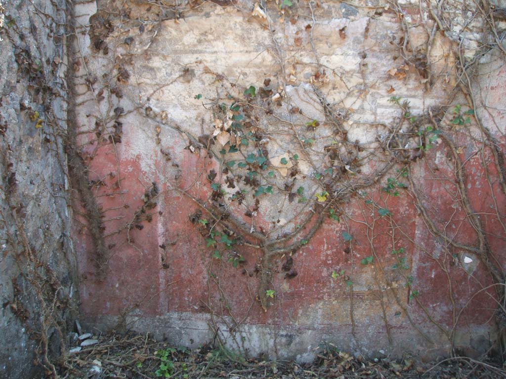 VII.3.8 Pompeii. May 2005. Detail of remaining painted red plaster from south wall of cubiculum “d”. 