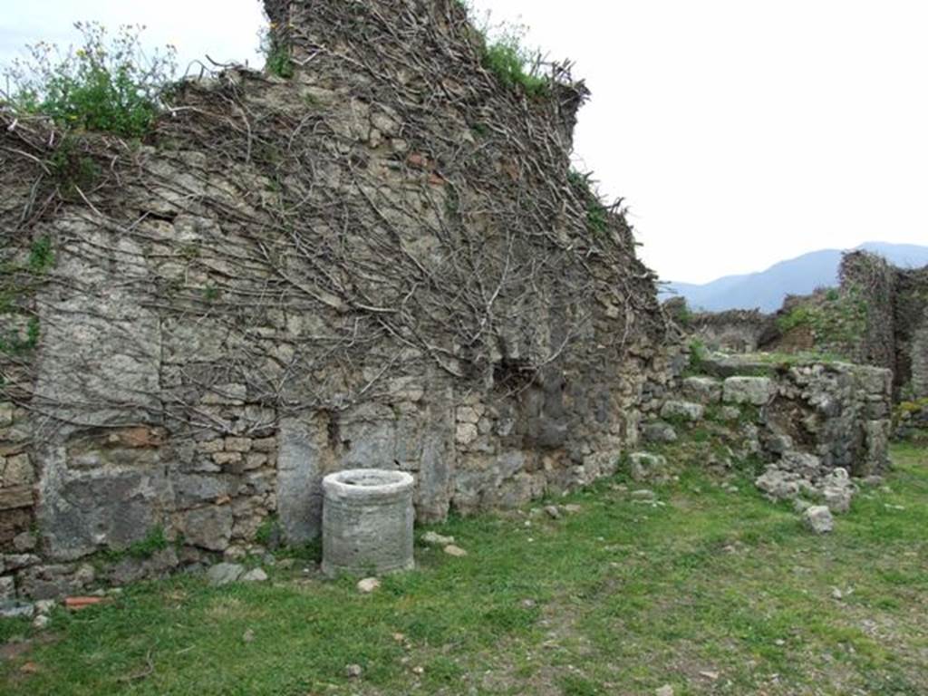 VII.3.11 Pompeii. March 2009. East wall of atrium.