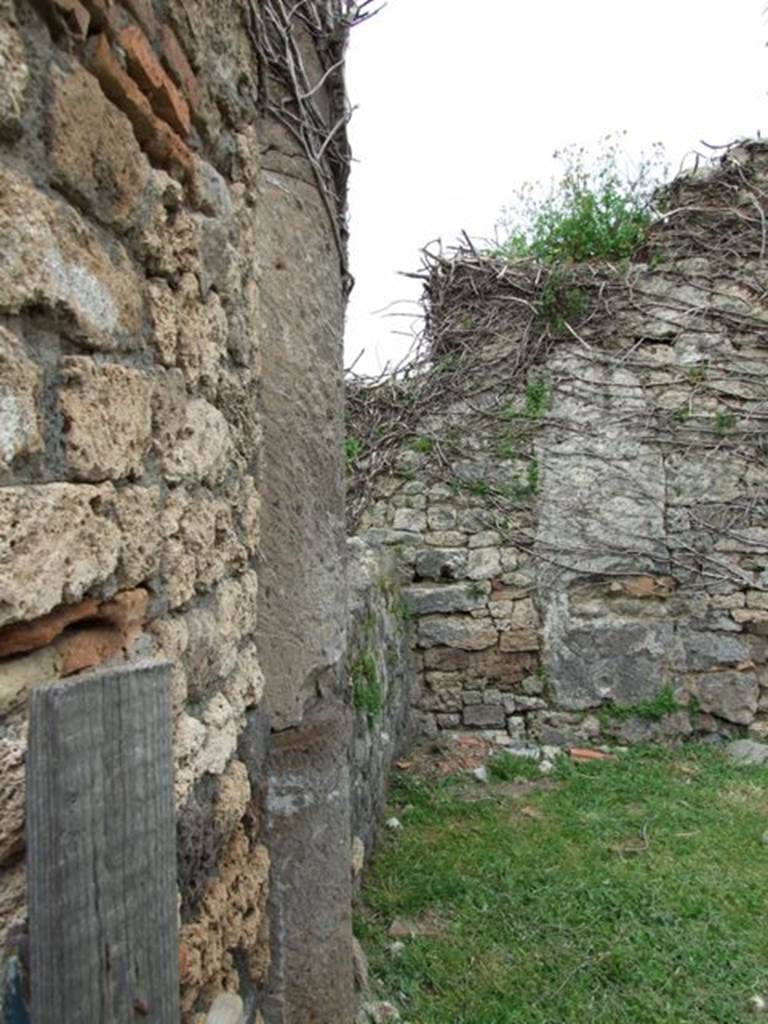 VII.3.11 Pompeii.  March 2009.  East side of North wall of atrium, with second Tufa column.