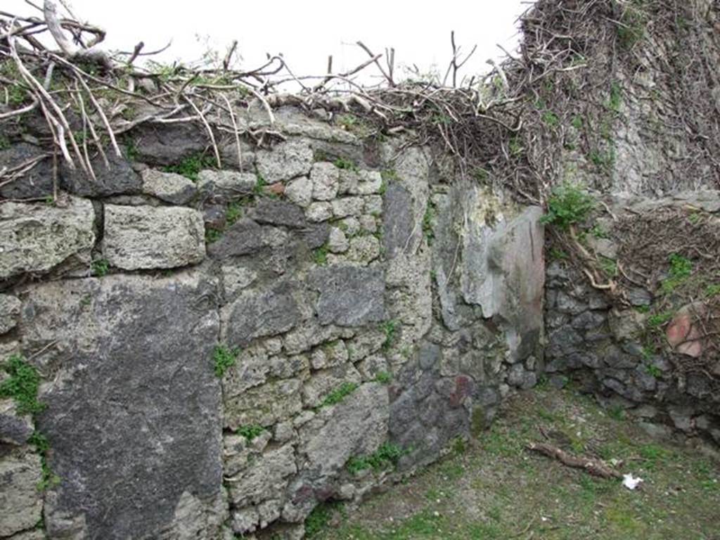 VII.3.12 Pompeii.  March 2009.  East wall of rear room of shop.