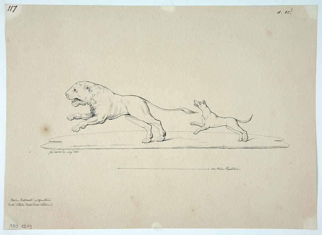 VII.3.21 Pompeii. Drawing by Giuseppe Abbate, May 1844, probably one of the hunting scenes.
Now in Naples Archaeological Museum. Inventory number ADS 1219.
Photo  ICCD. https://www.catalogo.beniculturali.it
Utilizzabili alle condizioni della licenza Attribuzione - Non commerciale - Condividi allo stesso modo 2.5 Italia (CC BY-NC-SA 2.5 IT)
