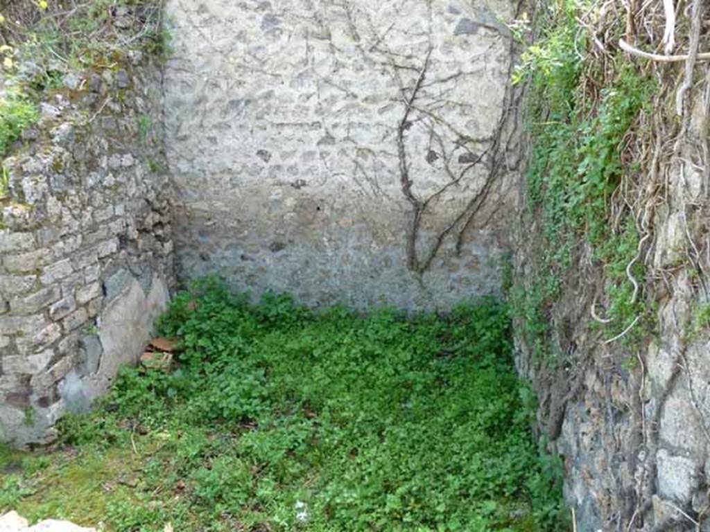 VII.3.23 Pompeii. May 2010.  South wall of rear room of shop.