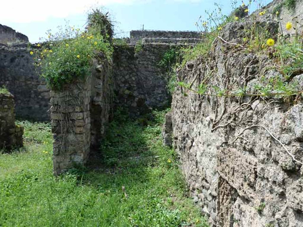 VII.3.23 Pompeii. May 2010.  Looking west towards garden, on the left, and rear corridor to kitchen, on the right, from the small atrium.
According to Liselotte Eschebach the small atrium had a sacellum and garden. See Eschebach, L., 1993. Gebudeverzeichnis und Stadtplan der antiken Stadt Pompeji. Kln: Bhlau. (p.269)
According to Boyce, on the wall of one of the rear rooms of VII.3.22/23, was a painting of two serpents confronted at an altar; in the background were plants and among them, at the time, was visible the tail of a third serpent, but the rest of the body had disappeared.  Below the painting was the graffito: LARES/PROPI/tiOS. (CIL IV 844).
See Boyce G. K., 1937. Corpus of the Lararia of Pompeii. Rome: MAAR 14. (p.65)
