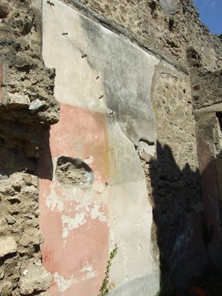 VII.3.29 Pompeii. March 2009. Room 11, north wall of room next to tablinum.  