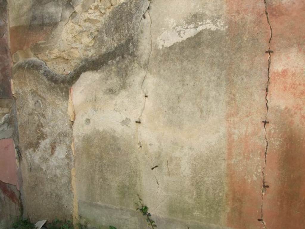 VII.3.29 Pompeii. March 2009. Room 11, south wall of room next to tablinum.  