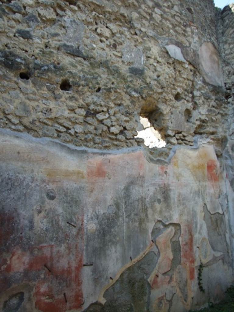 VII.3.29 Pompeii.  March 2009. Room 3. Triclinium.  West wall.