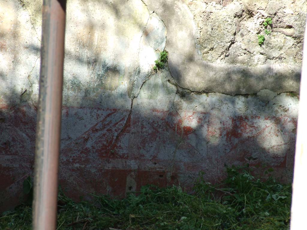 VII.3.30 Pompeii. March 2009. Garden area 5, north wall with remains of garden paintings.