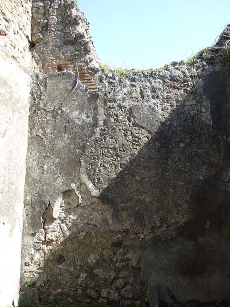 VII.3.30 Pompeii. March 2009. Room 7, east wall.