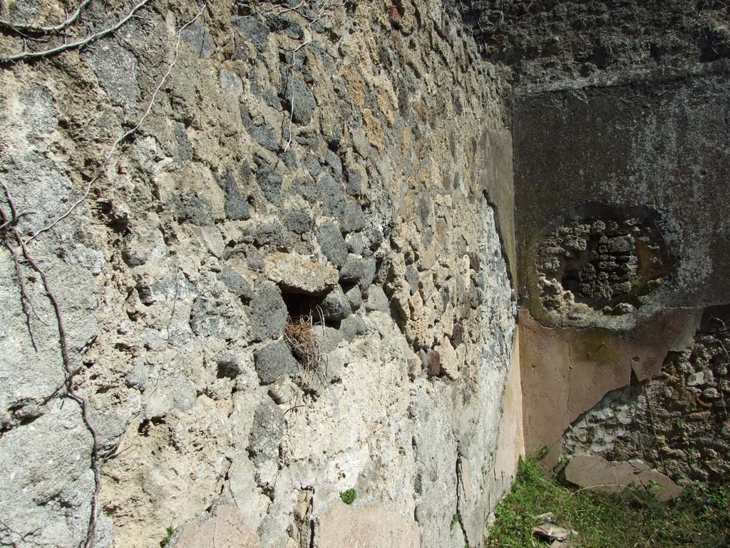 VII.3.30 Pompeii. March 2009. Room 9, north wall of triclinium.  