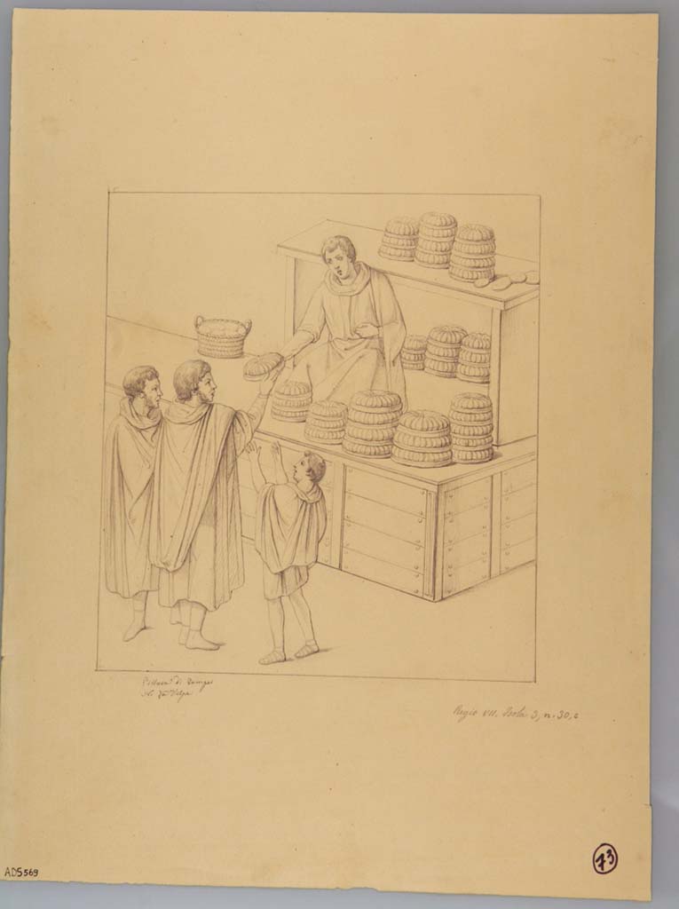 VII.3.30 Pompeii. Drawing by Nicola La Volpe, of painting found in the tablinum (and taken to Naples Museum, inventory number 9071).  
Now in Naples Archaeological Museum. Inventory number ADS 569.
Photo © ICCD. http://www.catalogo.beniculturali.it
Utilizzabili alle condizioni della licenza Attribuzione - Non commerciale - Condividi allo stesso modo 2.5 Italia (CC BY-NC-SA 2.5 IT)
