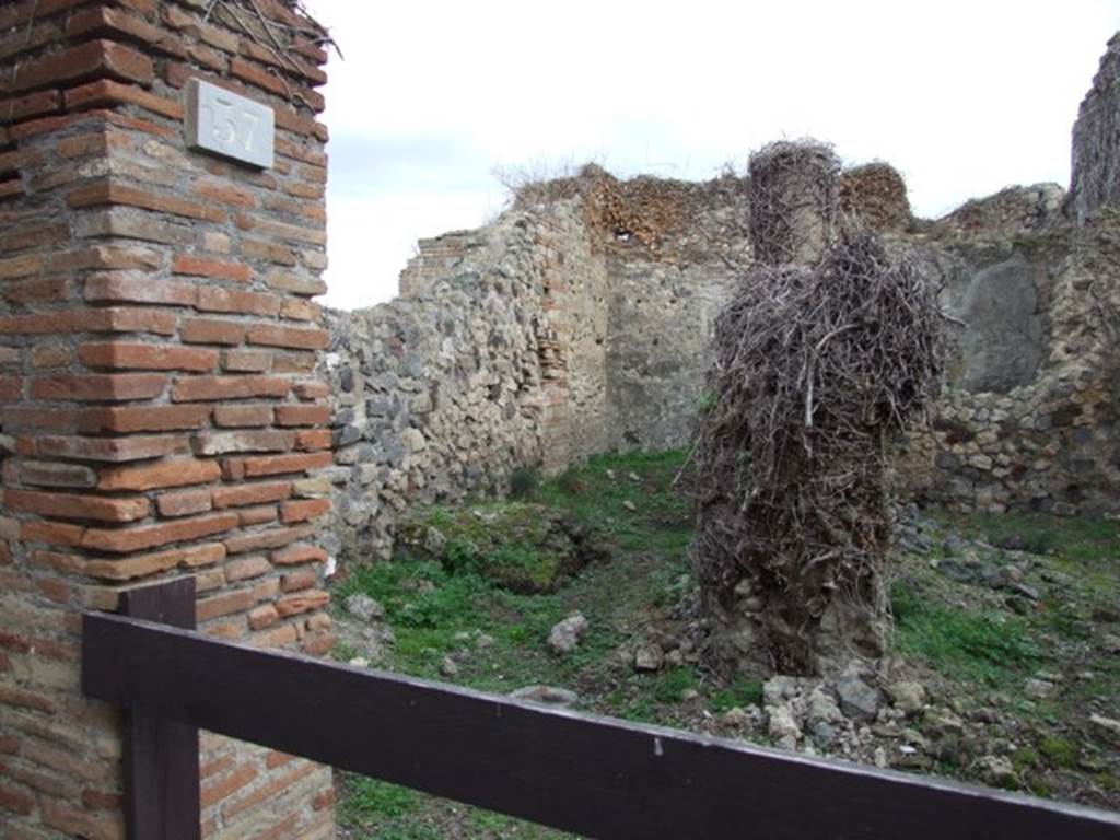 VII.3.37 Pompeii.  Shop.  December 2007.  Looking east along remains of corridor or porticus leading to small garden at rear.