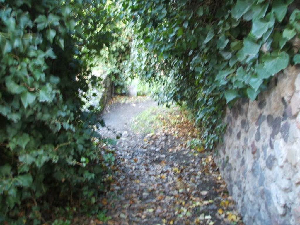 VII.3.38 Pompeii. December 2004. Looking east along entrance corridor.