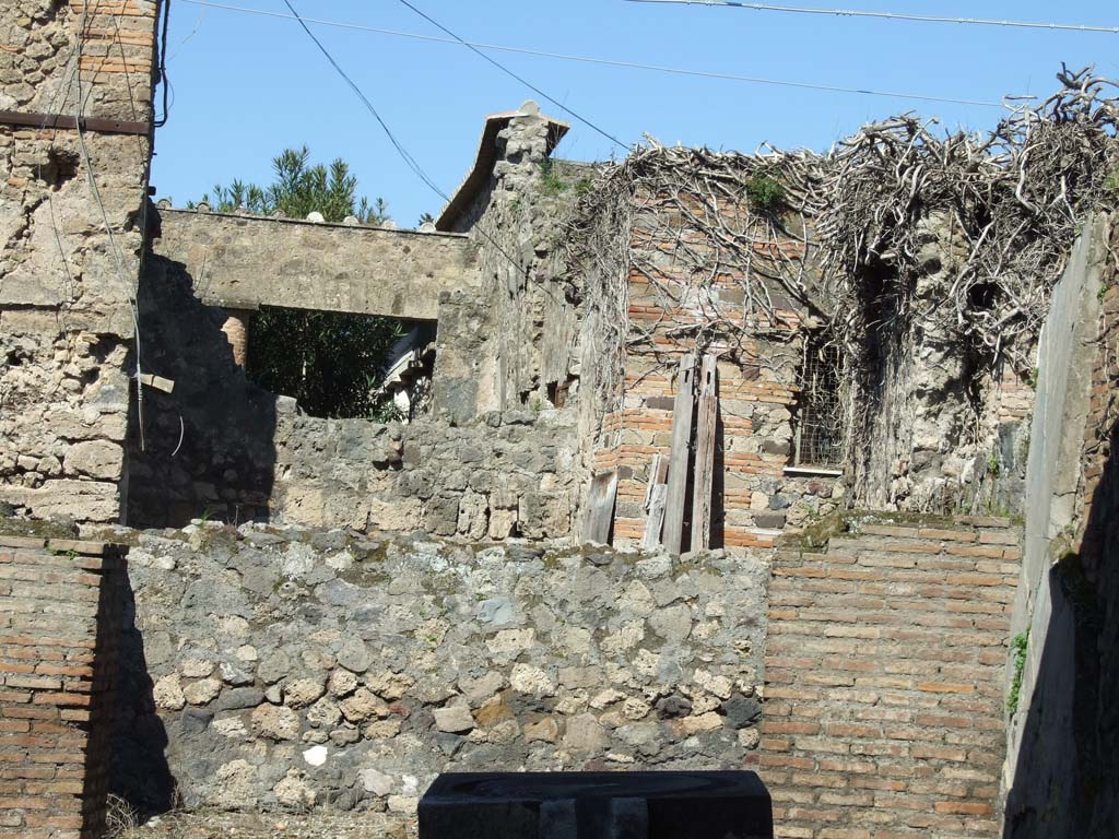 VII.4.25 Pompeii. March 2009. Looking north to rear rooms.