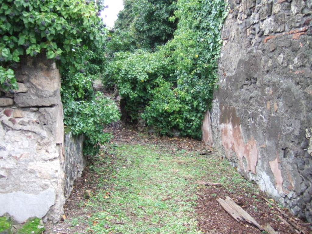 VII.4.29 Pompeii. December 2005.  Looking north.