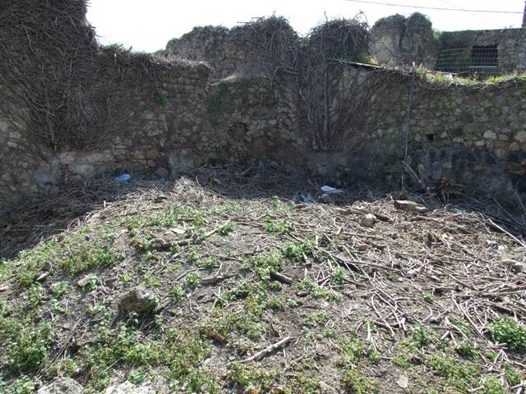 VII.4.29 Pompeii.  March 2009. Remains of  yard? on west side at rear.