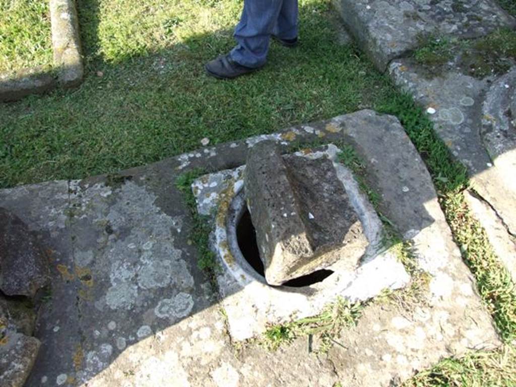 VII.4.31 Pompeii.  March 2009. Cistern mouth.