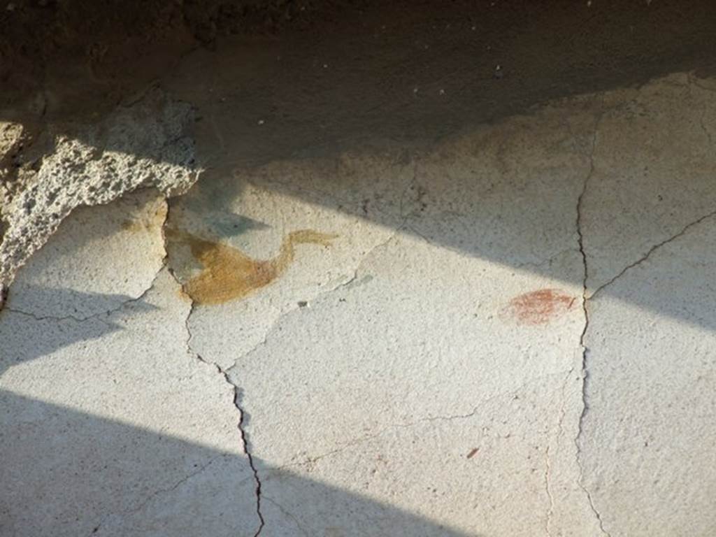 VII.4.31 Pompeii.  March 2009.   Room 33. Remains of painted decoration of a bird (swan?) on North wall.