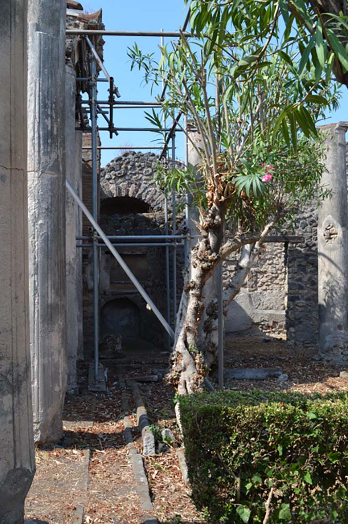 VII.4.31/51 Pompeii. September 2019. 
Looking west along gutter of north peristyle garden towards rooms 39 and 40.
Foto Annette Haug, ERC Grant 681269 DCOR.
