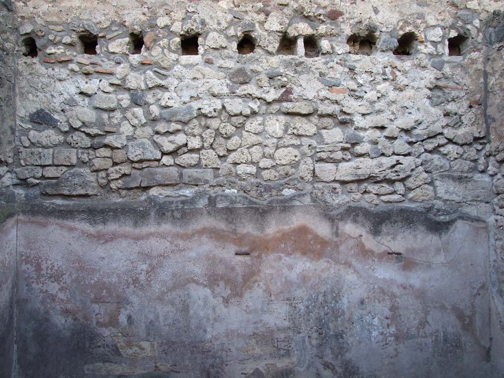 VII.4.31/51 Pompeii. March 2009. Room 41, west wall.