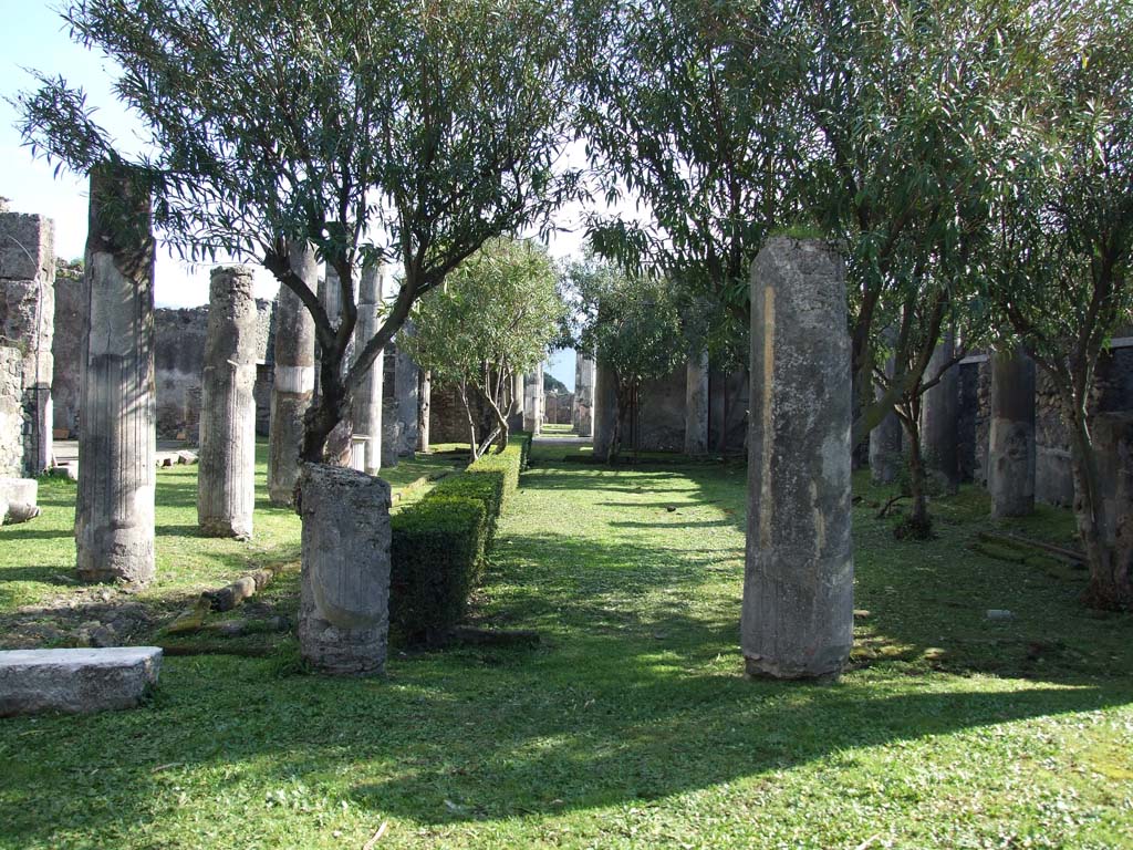 VII.4.31/51 Pompeii. March 2009. Looking south across the north peristyle, towards the main entrance at VII.4.31.