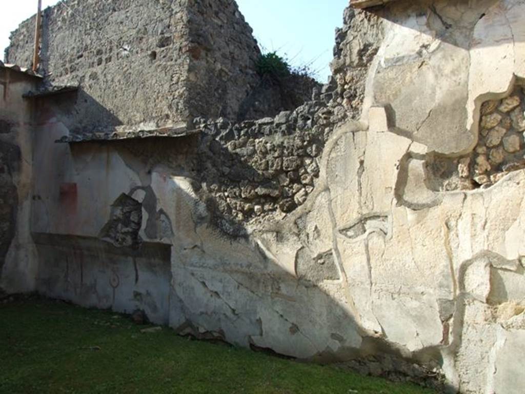 VII.4.31 Pompeii.  March 2009.  Room 21. Triclinium. North wall.