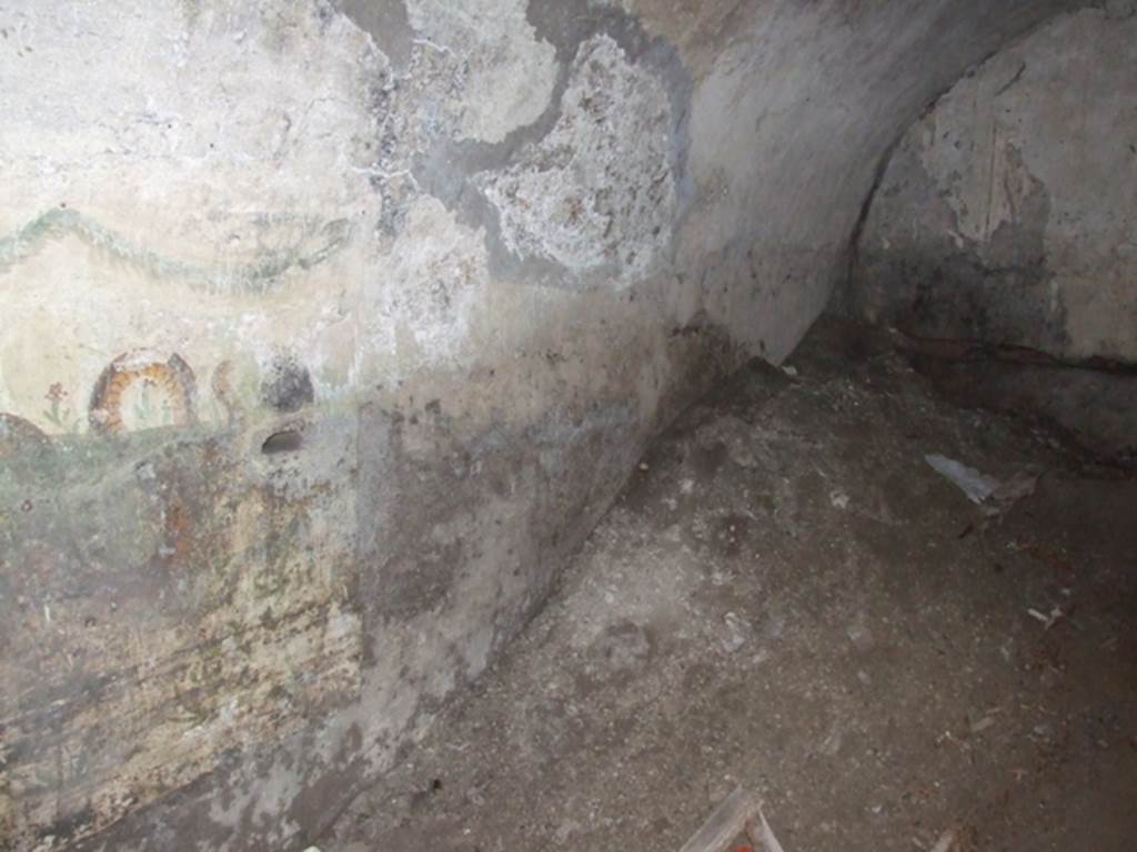 VII.4.31 Pompeii.  March 2009.  Room 27. Cellar. South east corner.