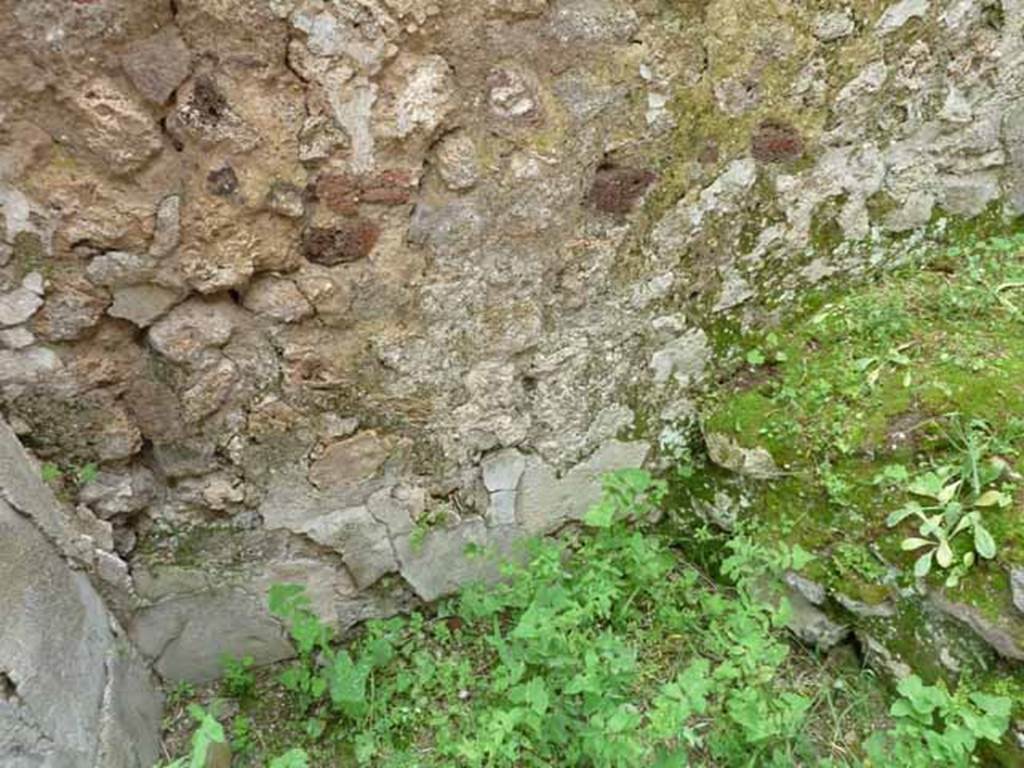 VII.4.42 Pompeii. May 2010. South wall.