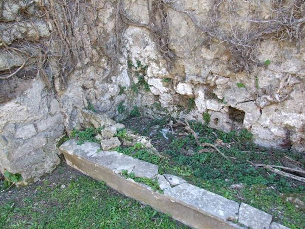 VII.4.56 Pompeii.  March 2009.  Room 9. Tablinum.  South end of West wall.