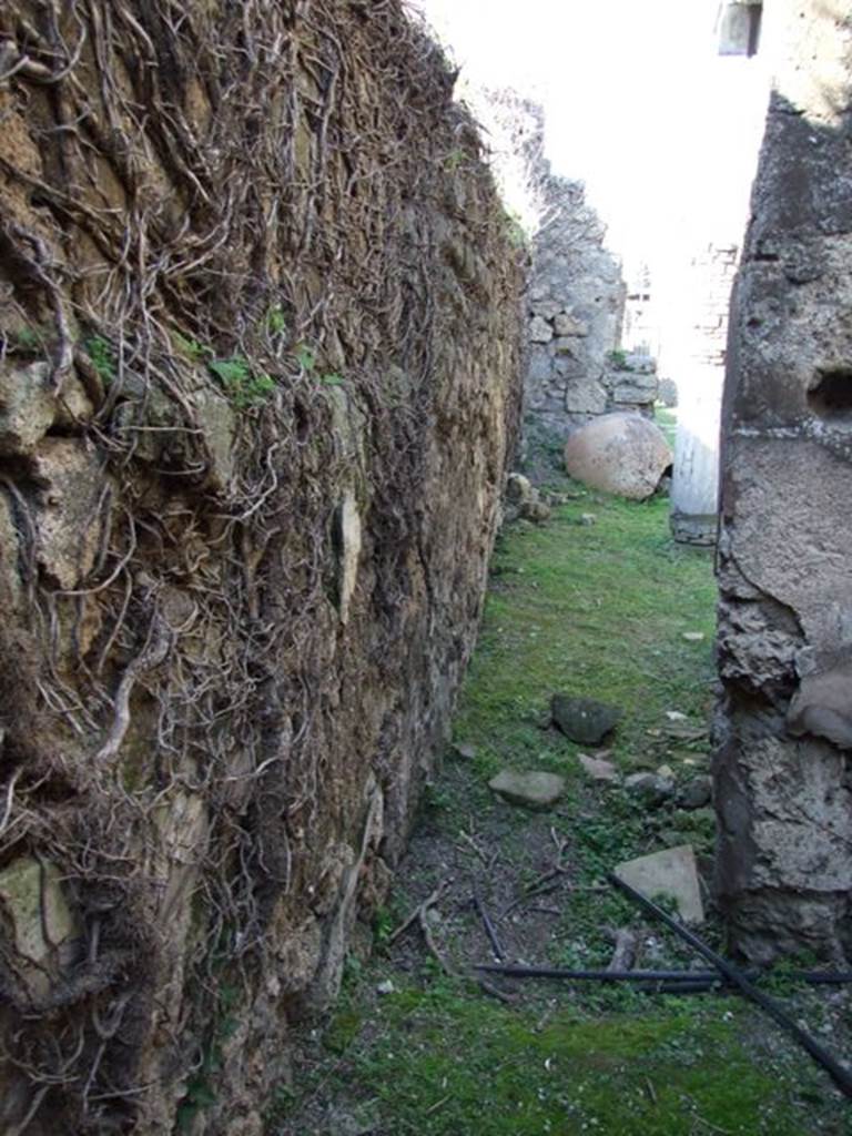 VII.4.56 Pompeii. March 2009. Room 10, looking north to west portico from kitchen.