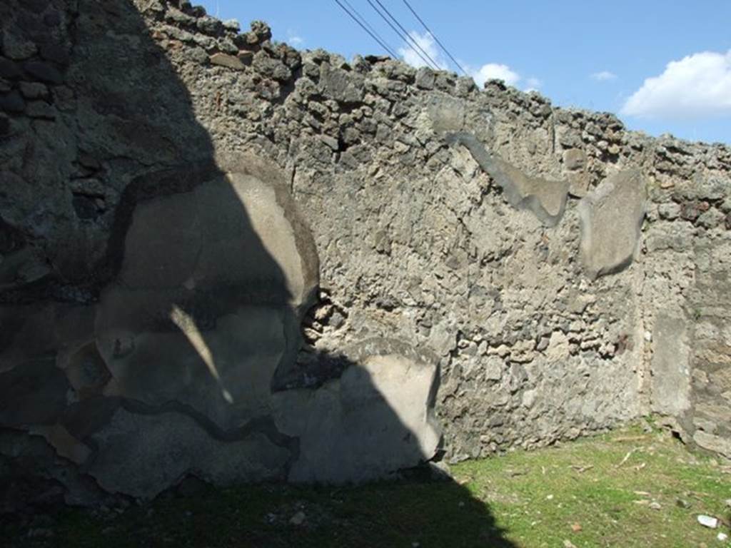 VII.4.57 Pompeii. March 2009. Room 2, north wall of oecus. 