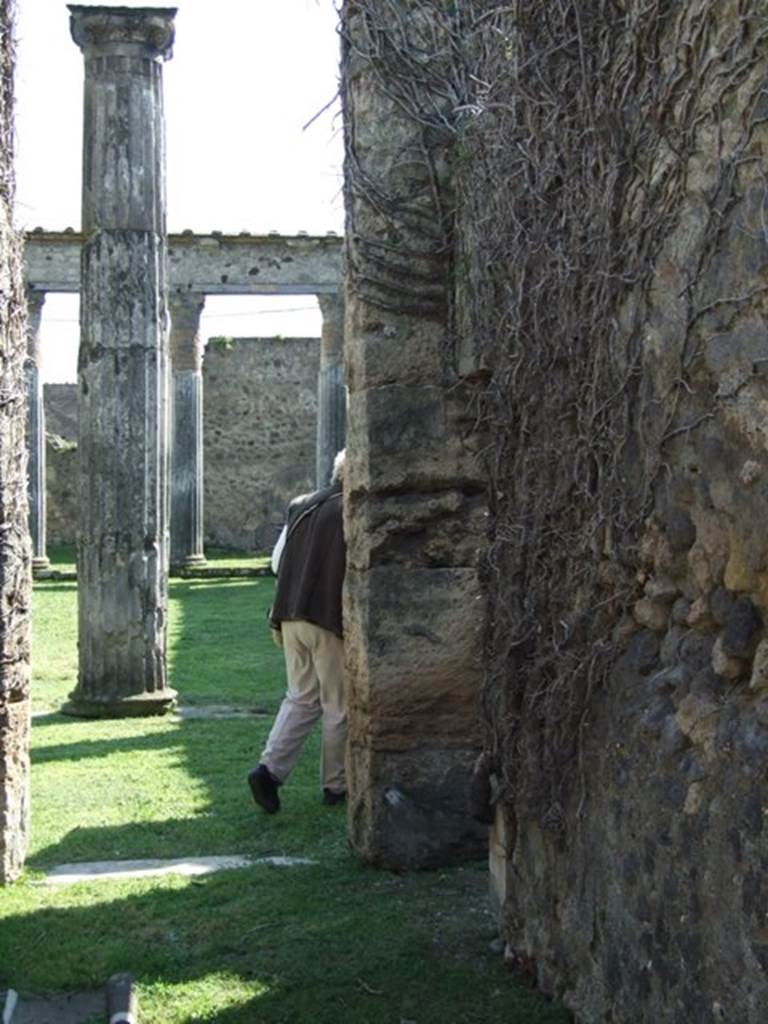 VII.4.57. Pompeii.  March 2009.  Room 8. Corridor leading to Peristyle, looking south, with small door to Oecus at South end of West wall.