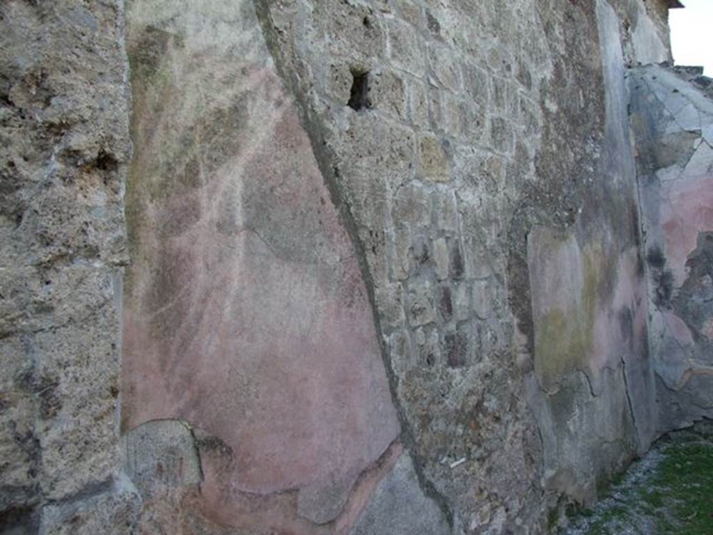 VII.4.57. Pompeii.  March 2009.  Room 14.  Oecus.  West wall.