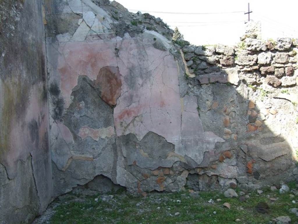 VII.4.57. Pompeii.  March 2009.  Room 14.  Oecus.  North wall. 