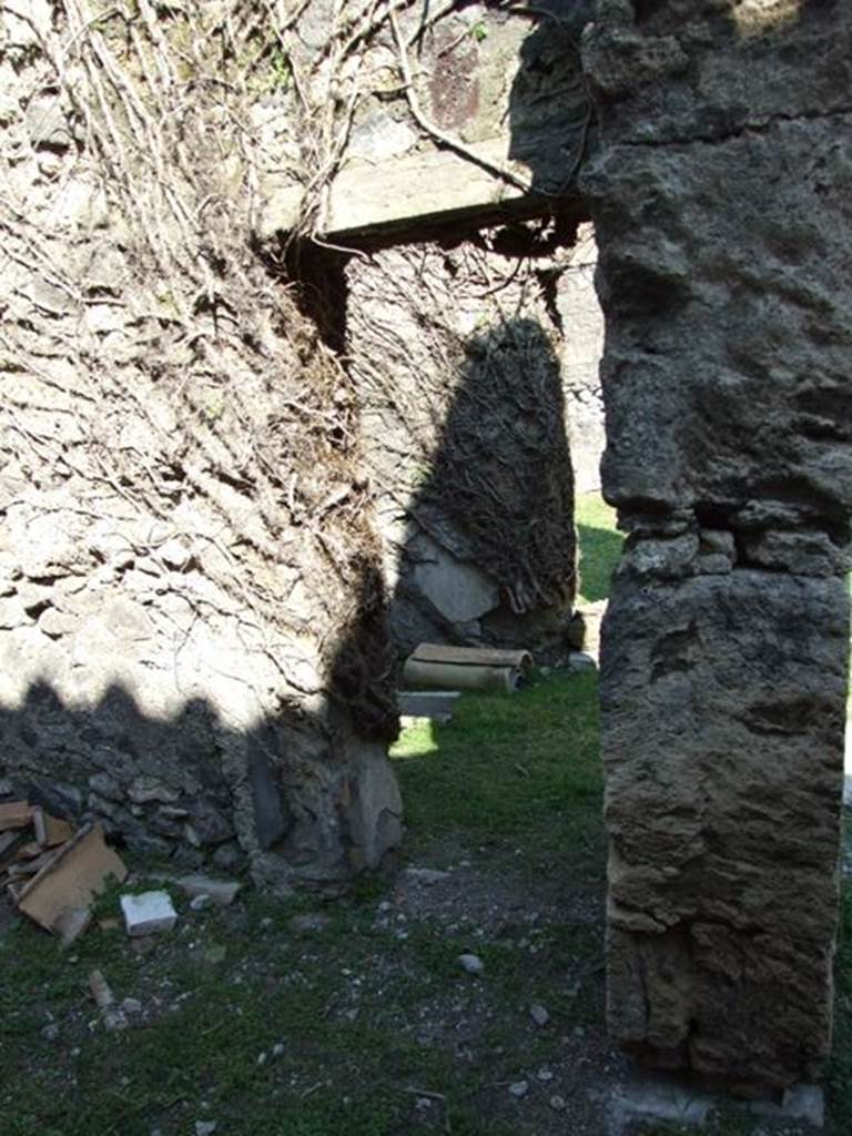 VII.4.57 Pompeii. March 2009. Room 14, east wall of oecus at south end, with small door from corridor 8.