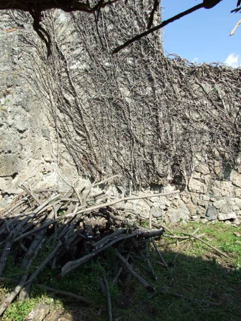 VII.4.57. Pompeii.  March 2009.  Room 17.  Remains of small room.