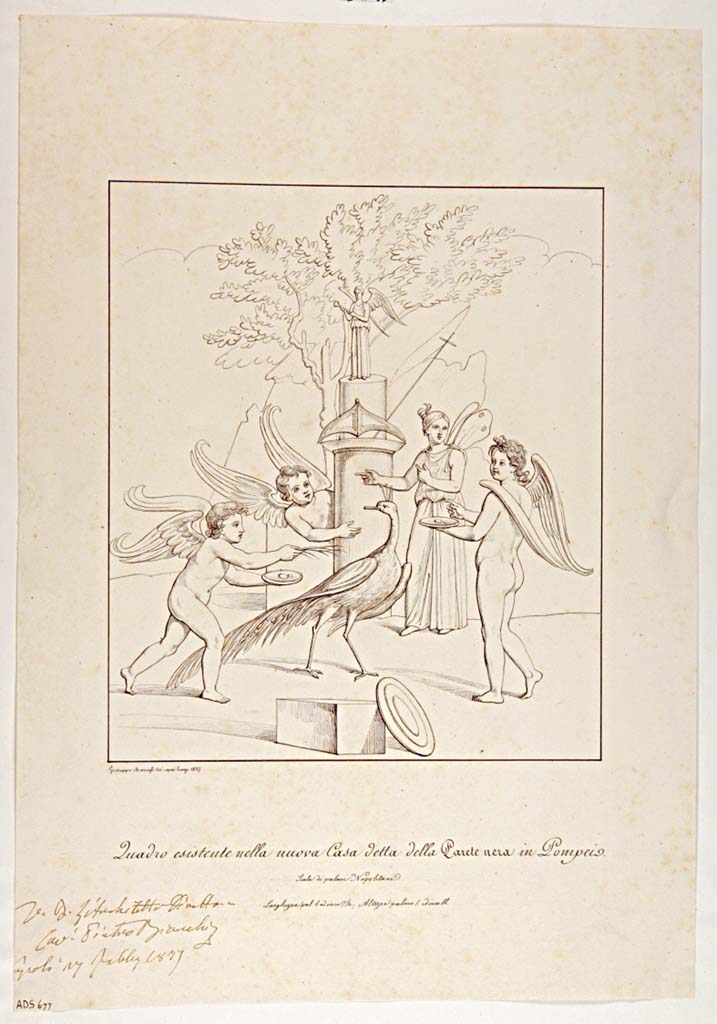 VII.4.59 Pompeii. Drawing by Giuseppe Marsigli, 1837, a copy of the painting of Cupids and Psyche making sacrifices to Hera.
Found in the Exedra or triclinium y, south wall. 
Now in Naples Archaeological Museum. Inventory number ADS 677.
Photo © ICCD. http://www.catalogo.beniculturali.it
Utilizzabili alle condizioni della licenza Attribuzione - Non commerciale - Condividi allo stesso modo 2.5 Italia (CC BY-NC-SA 2.5 IT)
