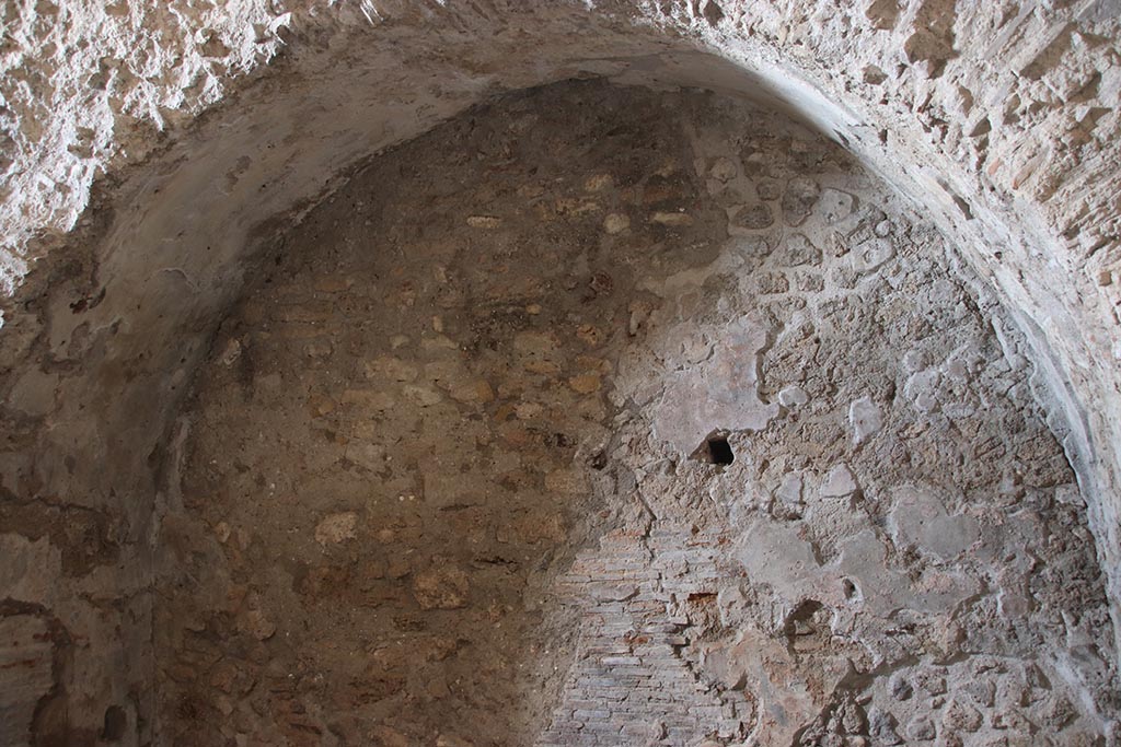 VII.5.8 Pompeii. October 2024. Caldarium (50), detail from east wall. Photo courtesy of Klaus Heese.