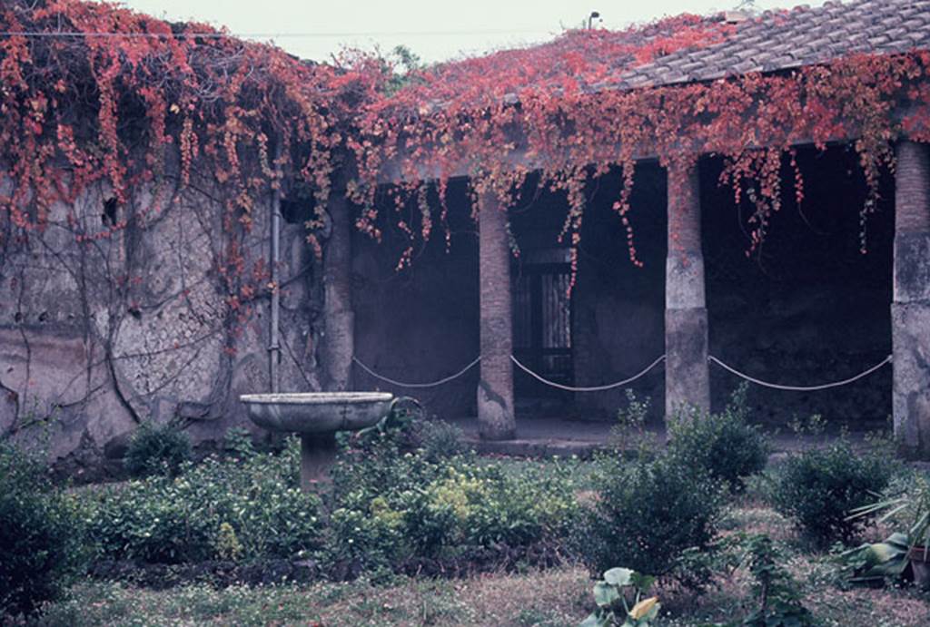 VII.5.24 Pompeii. November 1966. Looking south-west across courtyard (5). Photo courtesy of Rick Bauer.
A rainwater channel (6) ran around the courtyard to take the water from the portico (7).
According to Fiorelli –
In the south-west corner was another exit from the Baths, having a very large latrine nearby. 
(This would have led to present-day entrance at VII.5.12 in the Vicolo delle Terme).

