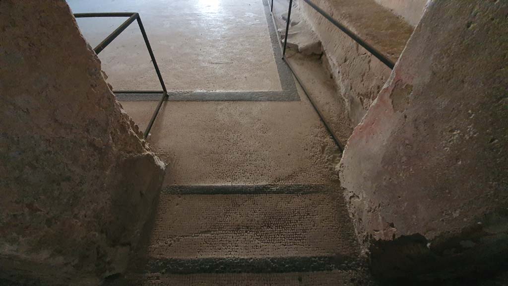 VII.5.24 Pompeii. August 2021. 
Entrance corridor (13), doorway threshold, looking north across flooring in apodyterium or changing room (14).
Foto Annette Haug, ERC Grant 681269 DÉCOR.
