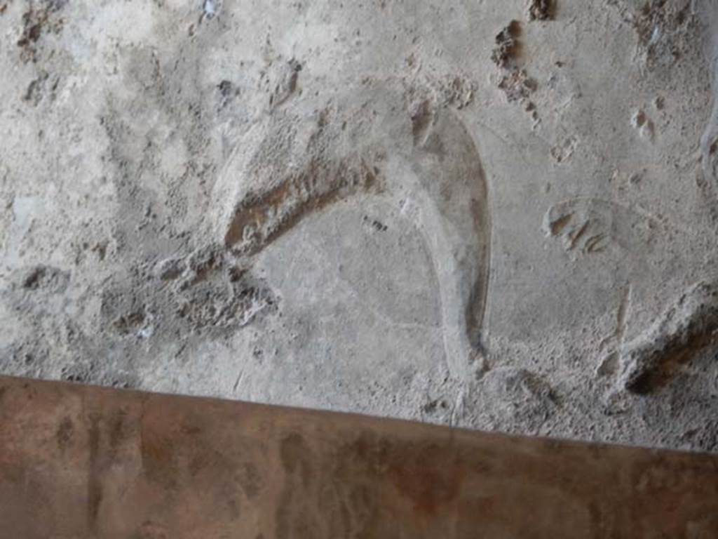 VII.5.24 Pompeii. May 2015. Detail of stucco from window in west wall of Caldarium (39). Photo courtesy of Buzz Ferebee.
