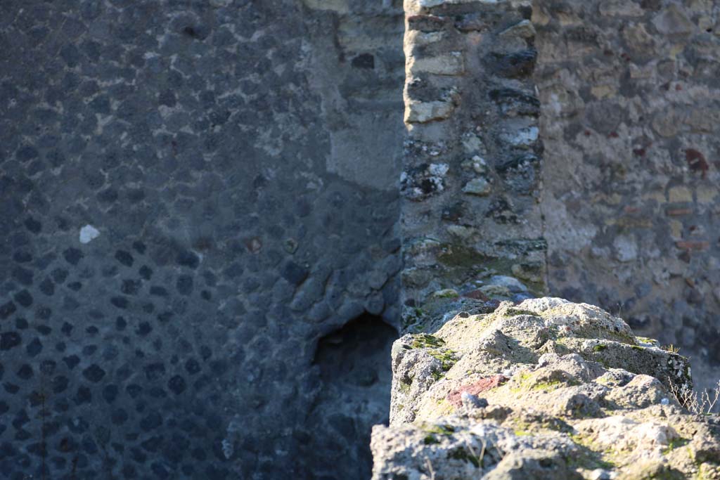 VII.5.26 Pompeii. December 2018. Detail from west wall in north-west corner. Photo courtesy of Aude Durand.