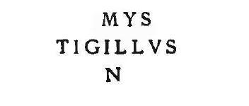 9. Sulla parete occidentale del peristilio, sul i intonaco bianco, in color nero, ed in lettere alte m. 0,10, e m. 0,12: