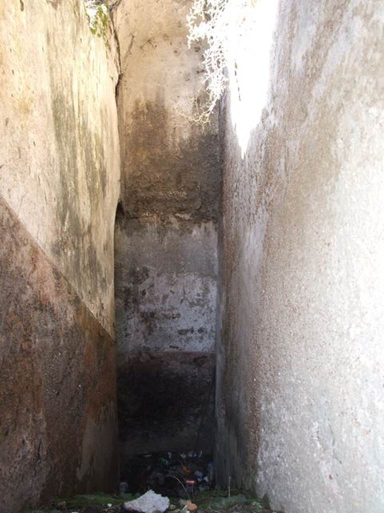 VII.6.17 Pompeii. March 2009. Plastered walls and ceiling of stairs.