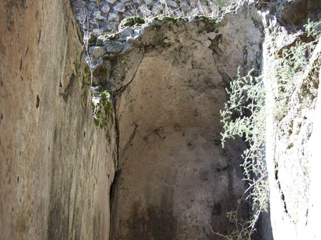 VII.6.17 Pompeii. March 2009.  Arched plastered wall and ceiling.