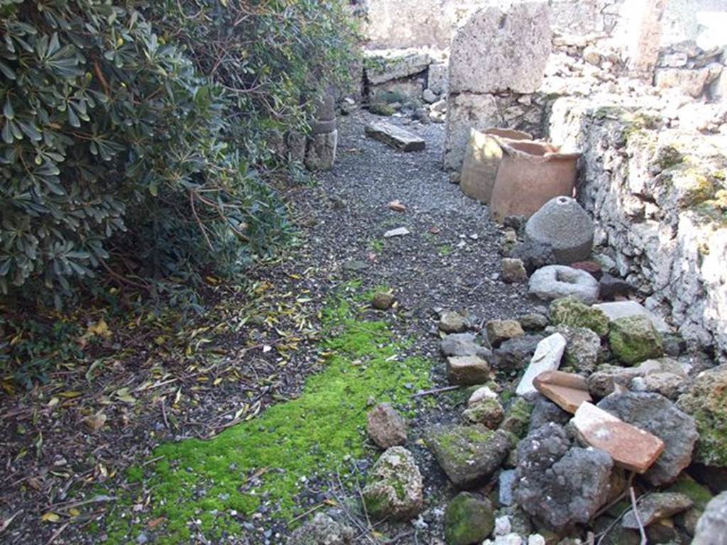 VII.6.21 Pompeii. March 2009. Looking west towards rear room.