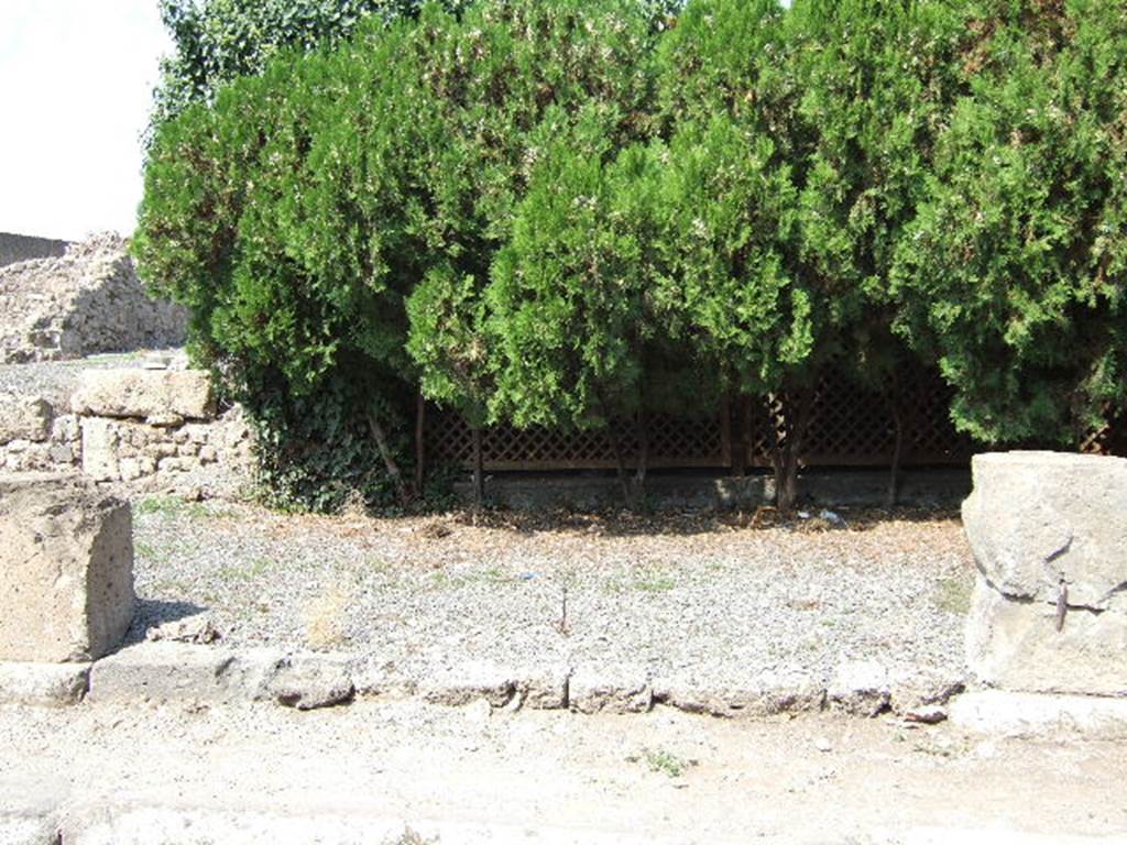 VII.6.25 Pompeii. September 2005. Looking north at entrance to large room, linked in rear wall to VII.6.22 before bombing. On the left, against the (vanished) west wall, would have been a staircase to the upper floor.
See Eschebach, L., 1993. Gebudeverzeichnis und Stadtplan der antiken Stadt Pompeji. Kln: Bhlau. (p.295)
