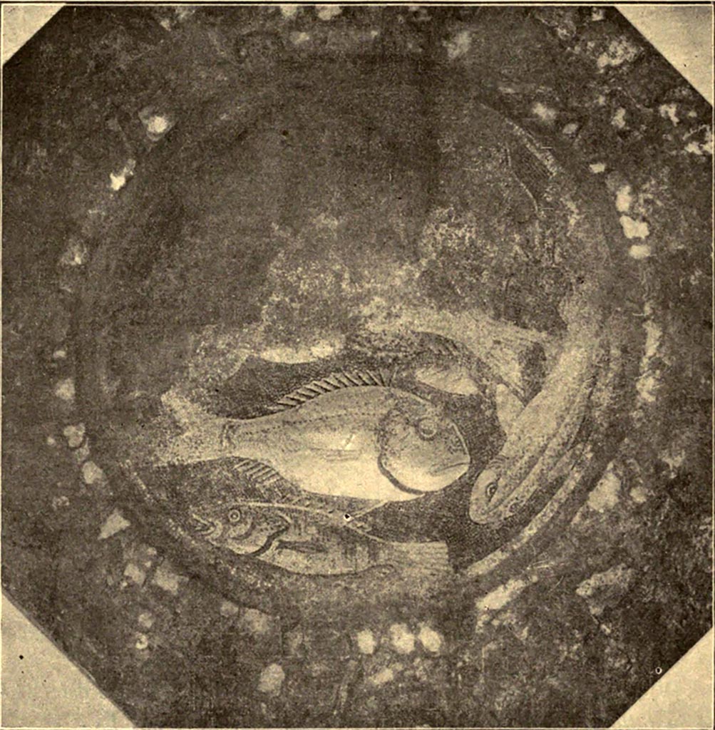 VII.6.38 Pompeii. Emblema circolare che presenta le figure di alcuni pesci in vermiculatum assai finemente eseguite.
See Notizie degli Scavi di Antichità, 1910, p.555-7, fig. 1.
